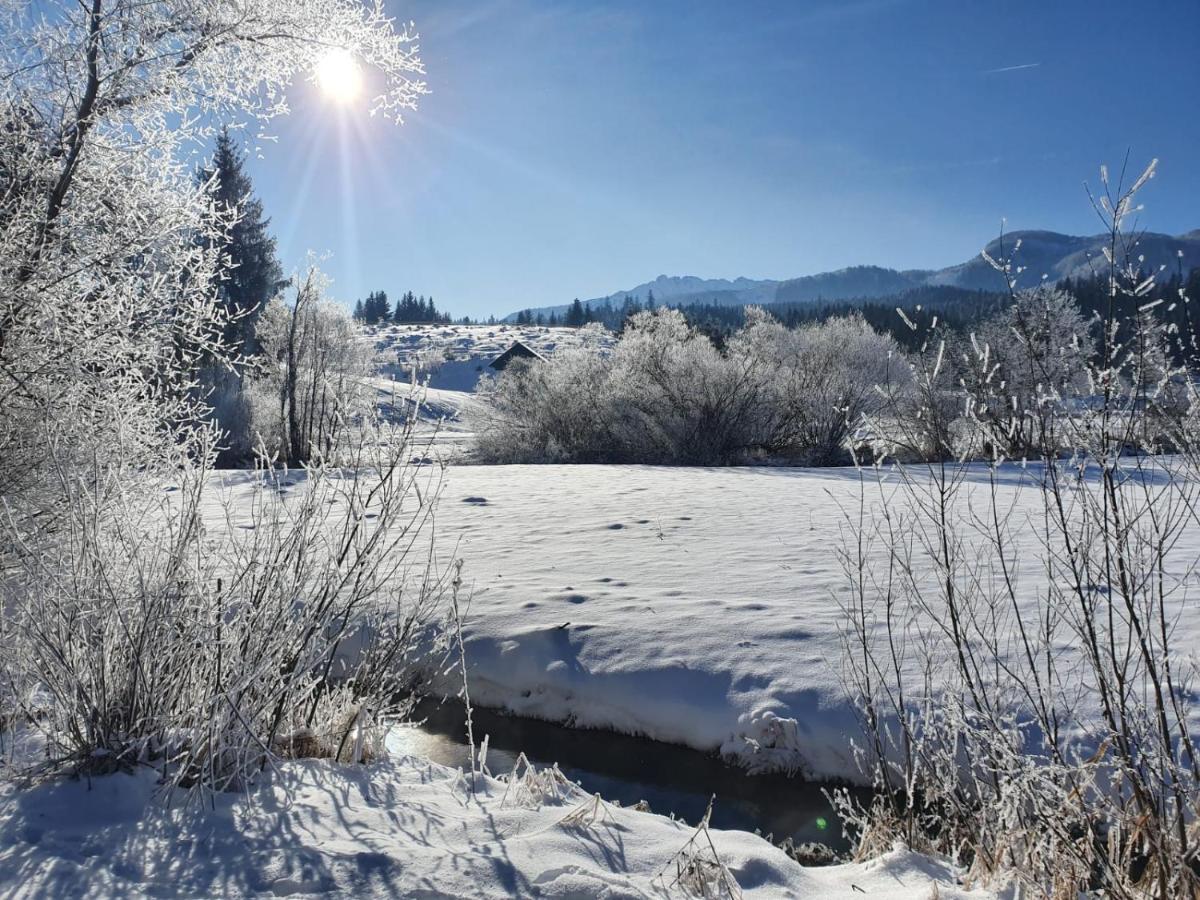 Haus Karina Hotel Bad Mitterndorf Bagian luar foto